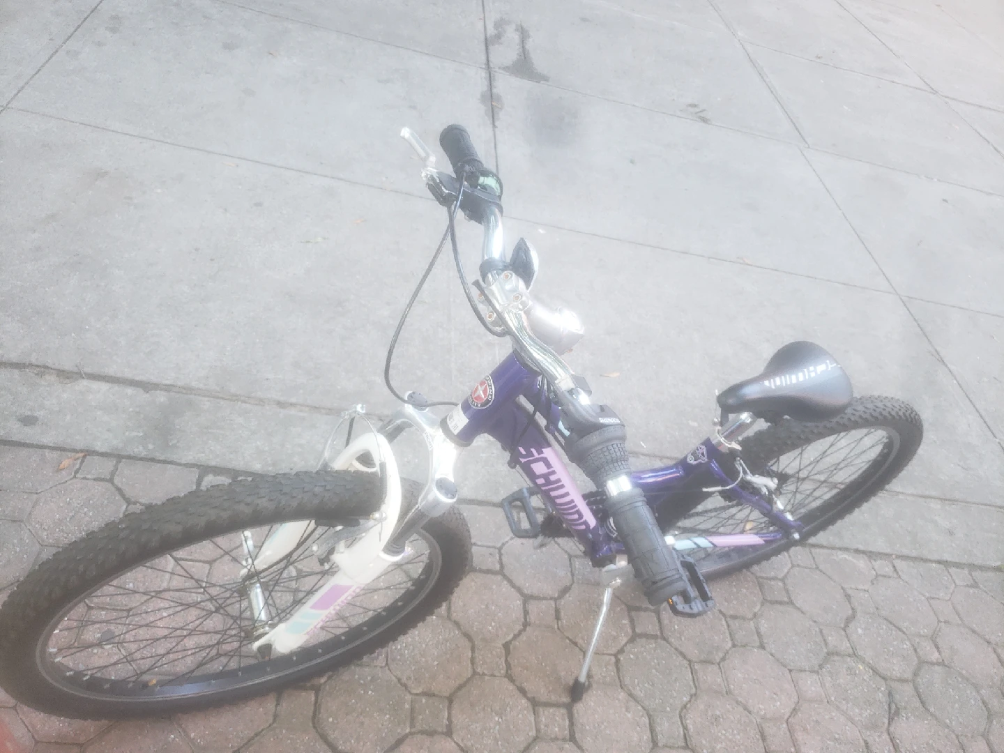 Schwinn Cruiser Bike - Purple