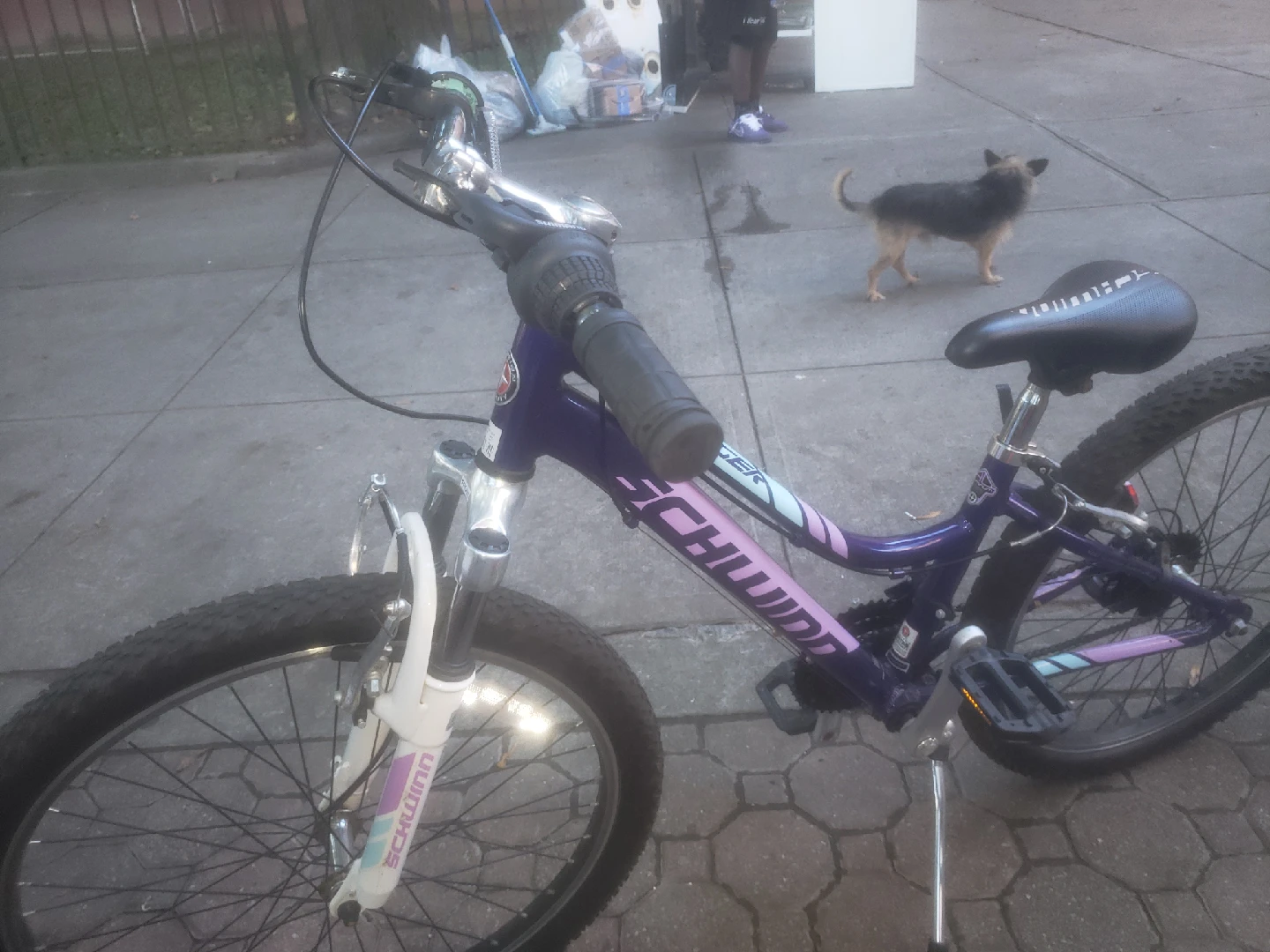 Schwinn Cruiser Bike - Purple - photo 3