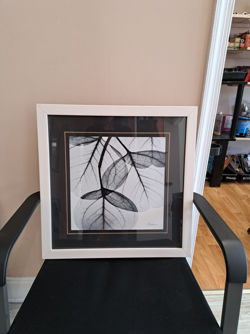 Framed Leaf Print Wall Art