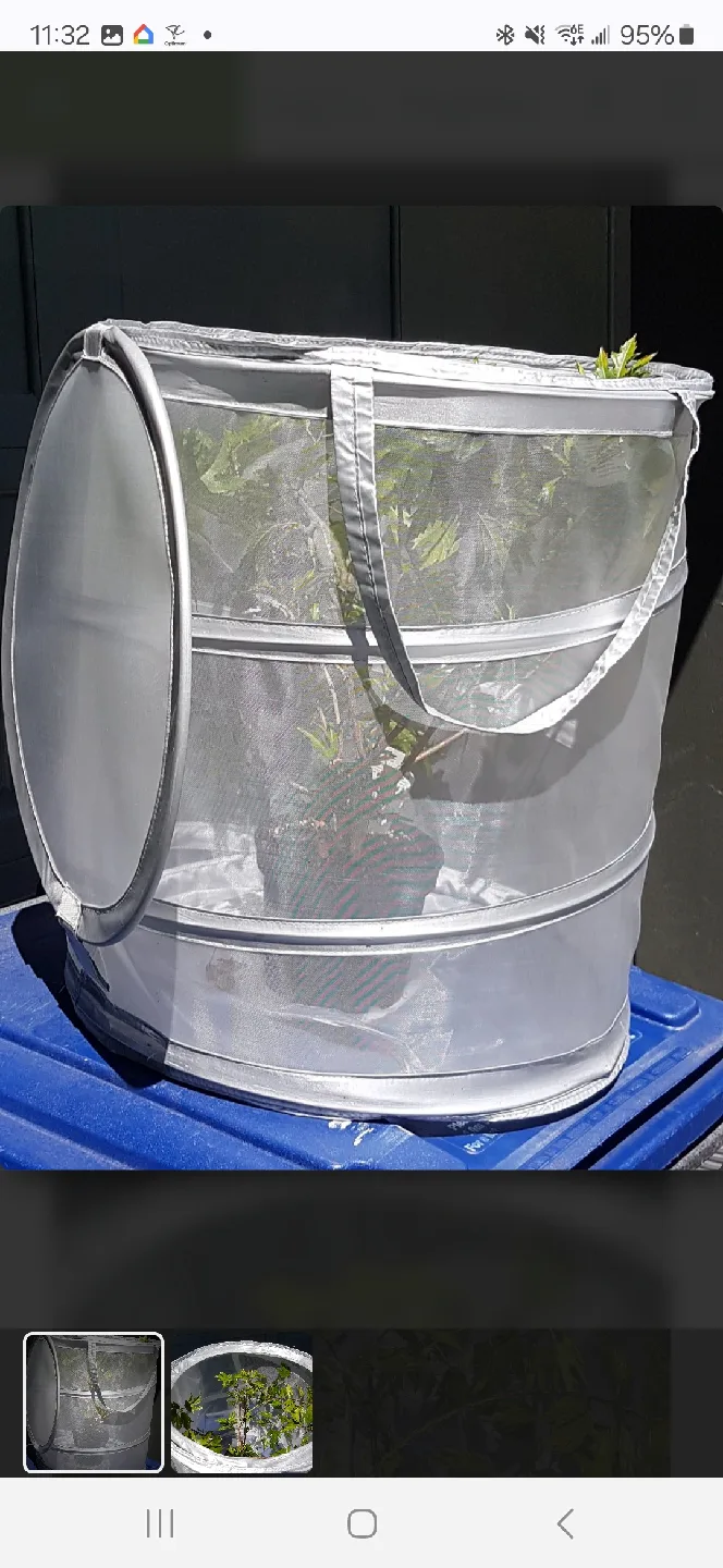 Laundry - Toys Basket image indicator(4)