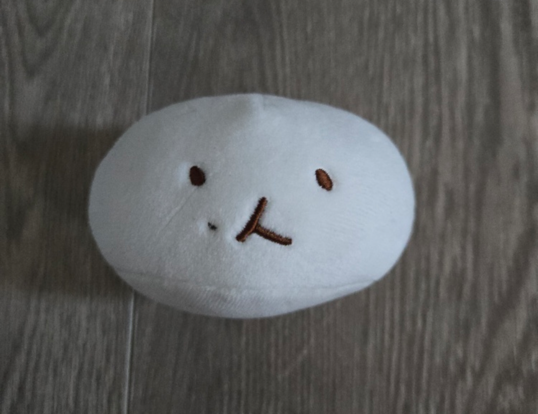 Kpop Baekhyun Teolaegi mini plush chapssal - photo 2
