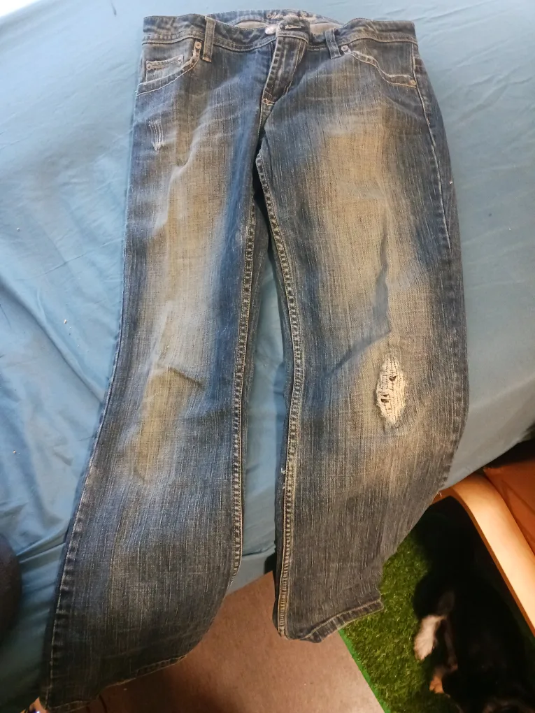 American Eagle Outfitters Jeans image indicator(3)