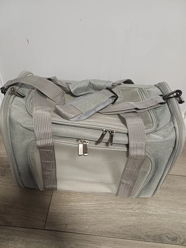 Grey Pet Carrier - 17x11x11 inches image indicator(2)