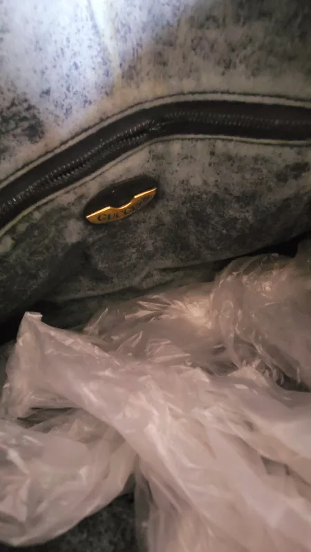 Autentic Gucci Plus Clutch/ Travel Bag image indicator(7)