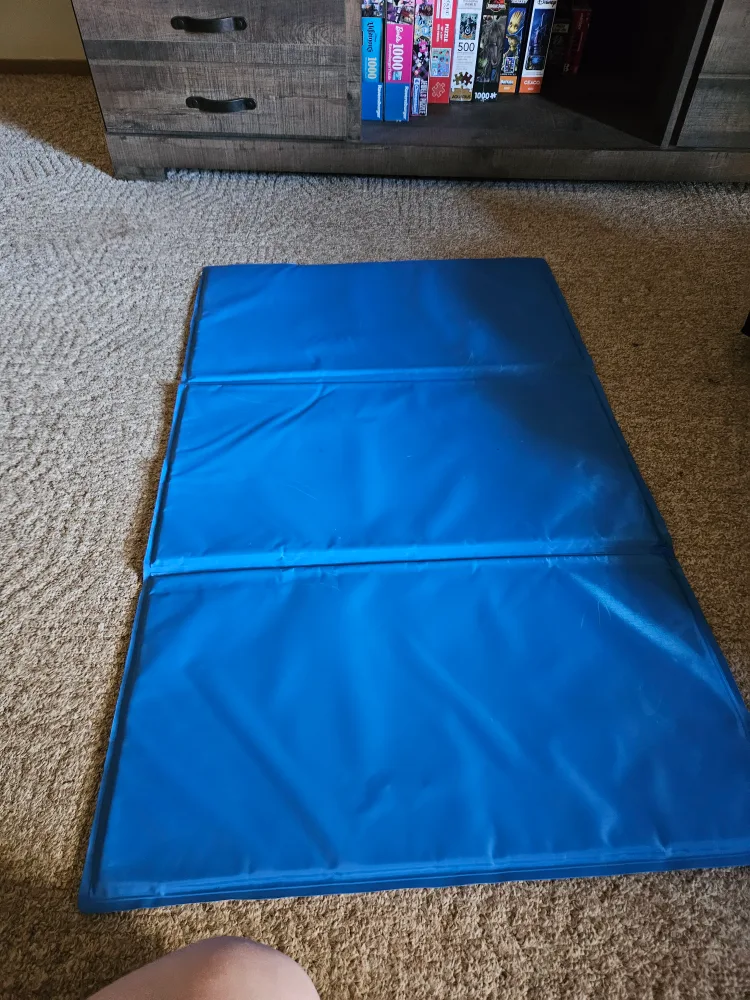 fun pet iteams image indicator(2)