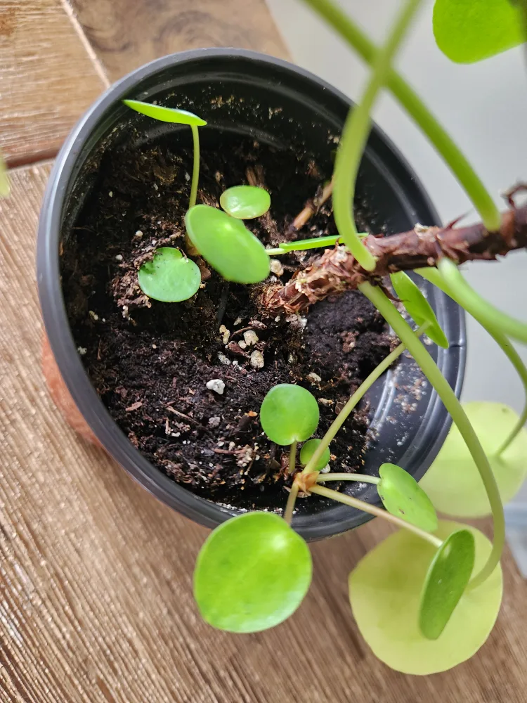 Stunning Waterfall Wall Art image indicator(9)