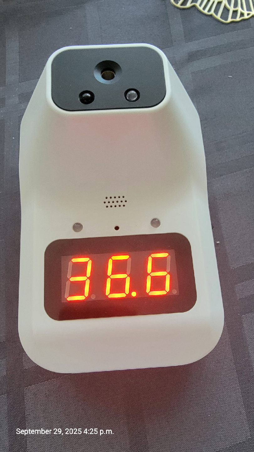 Wall Mounted Thermometer - photo 2