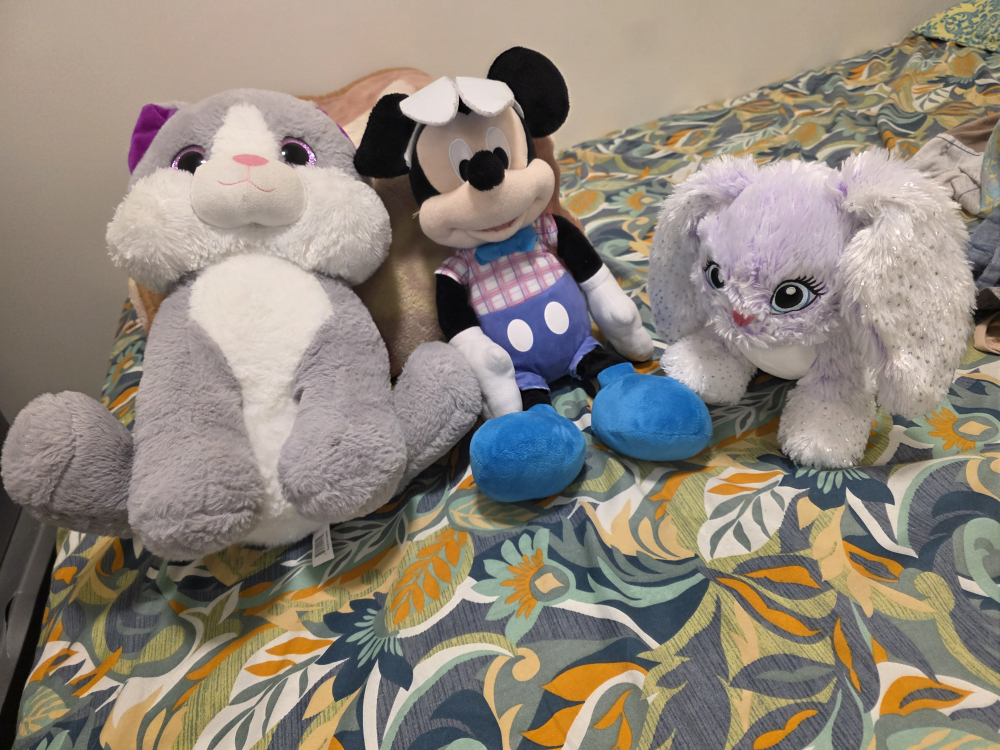 Assorted Plush Toys - Cat, Mickey Mouse, Bunny - photo 2