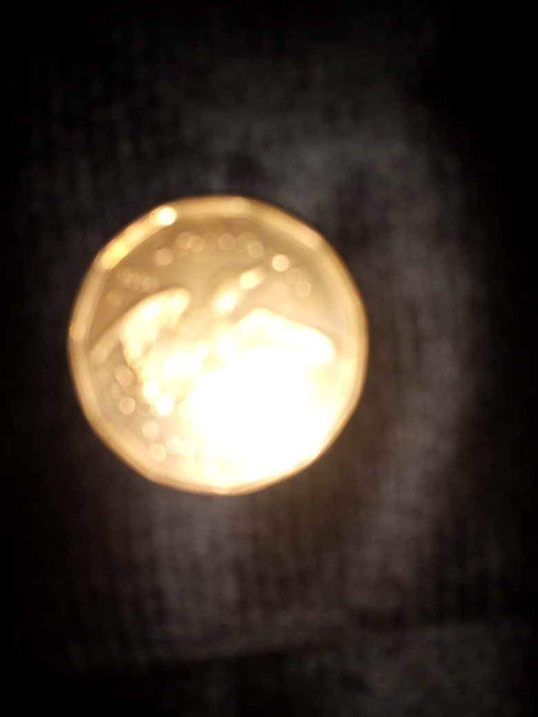Canadian Loonie Dollar Coin - photo 3