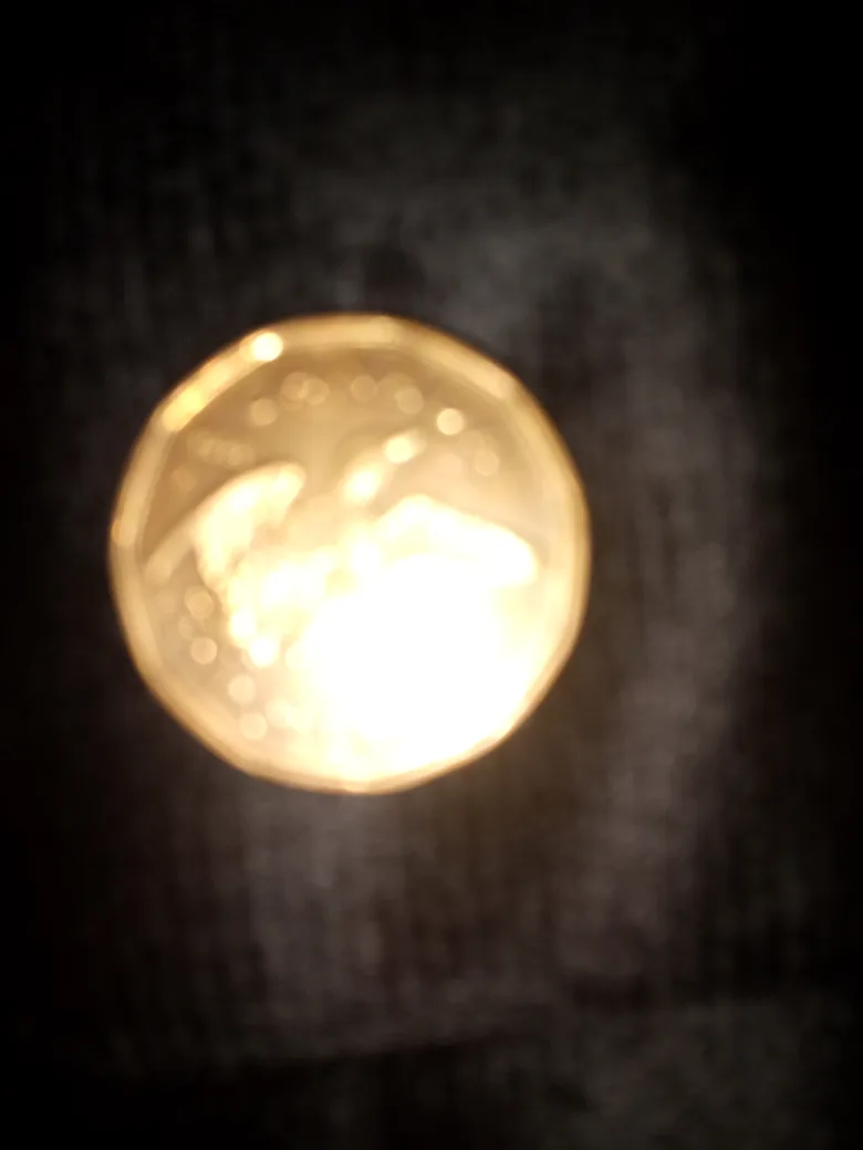Canadian Loonie Dollar Coin image indicator(3)