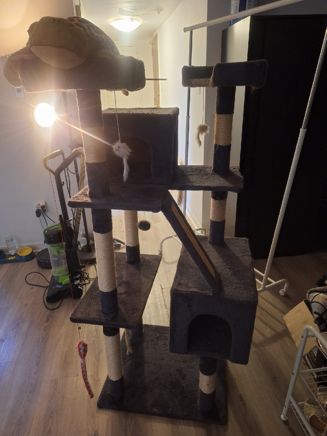 Cat Tree with Scratching Posts