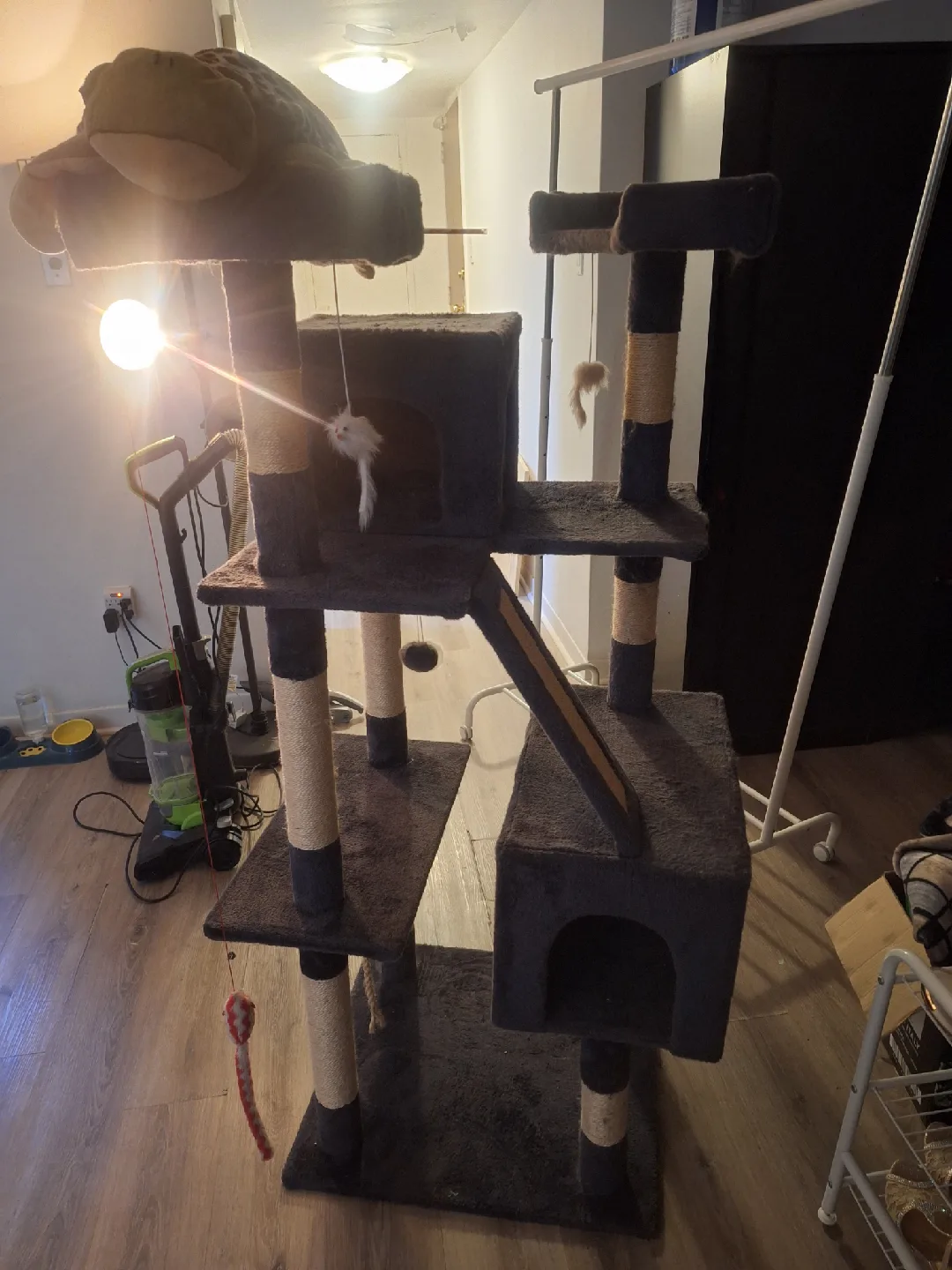 Cat Tree with Scratching Posts thumbnail