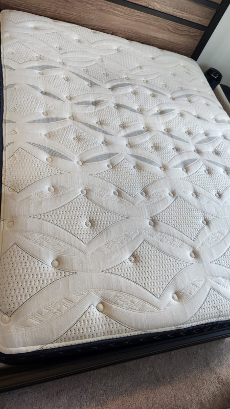 Sealy Proback Posturepedic Mattress