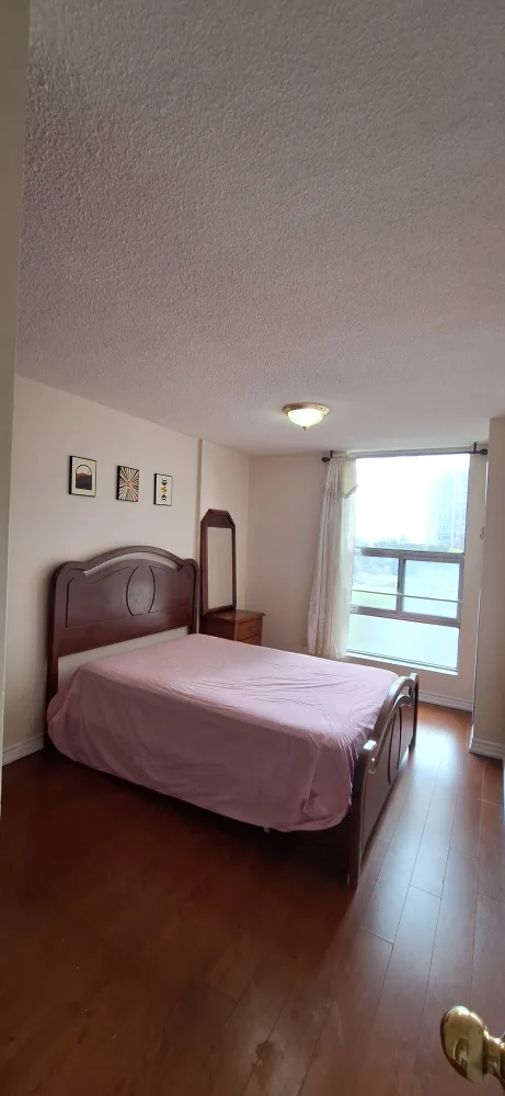furnished room in a vegetarian flat thumbnail