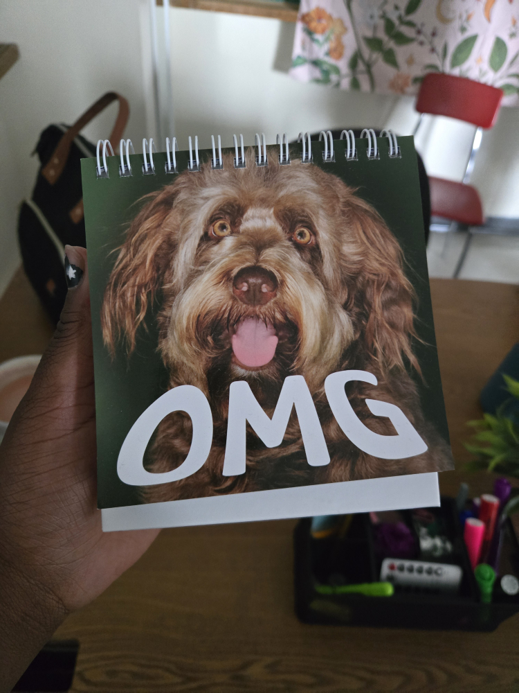 dog calendar 🥕