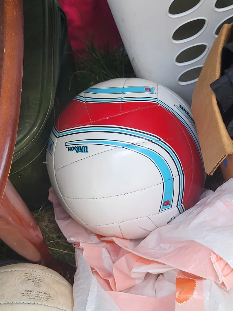 Wilson Volleyball thumbnail