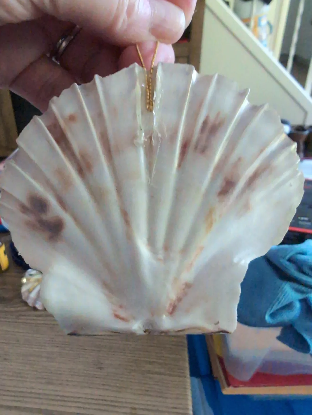 Seashell Christmas Ornament image indicator(2)
