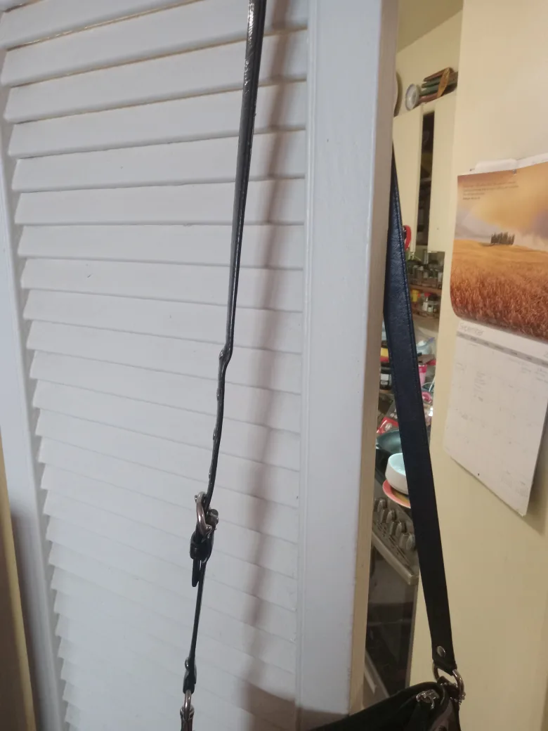 Coach Handbag image indicator(10)