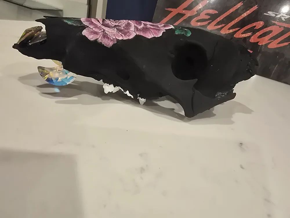 SWAROVSKI CRYSTAL MOON ADORNED B Grade Arizona Javelina Skull image indicator(2)