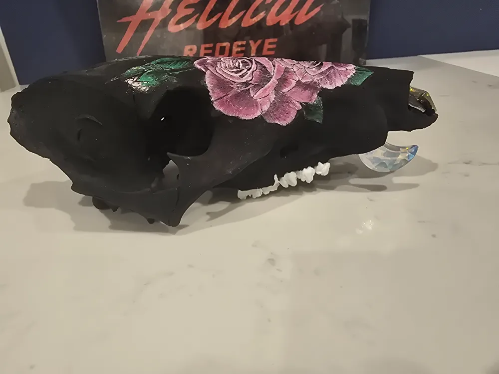 SWAROVSKI CRYSTAL MOON ADORNED B Grade Arizona Javelina Skull image indicator(3)