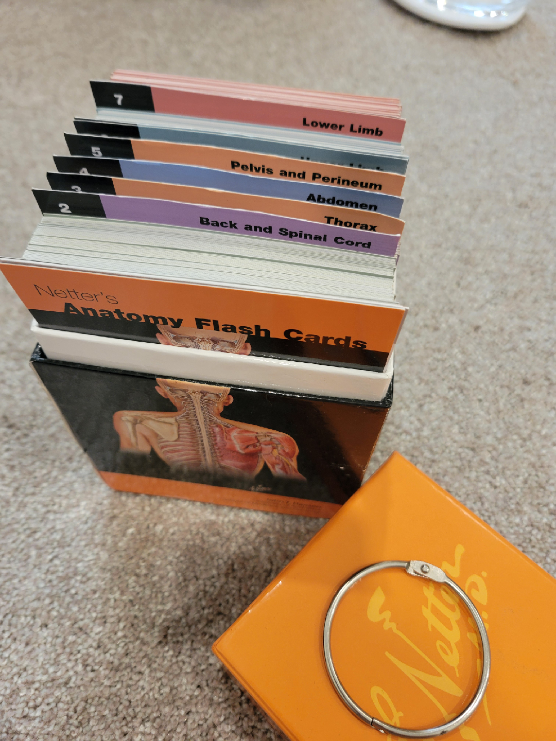 Netter's Anatomy Flash Cards, Second Edition - photo 3