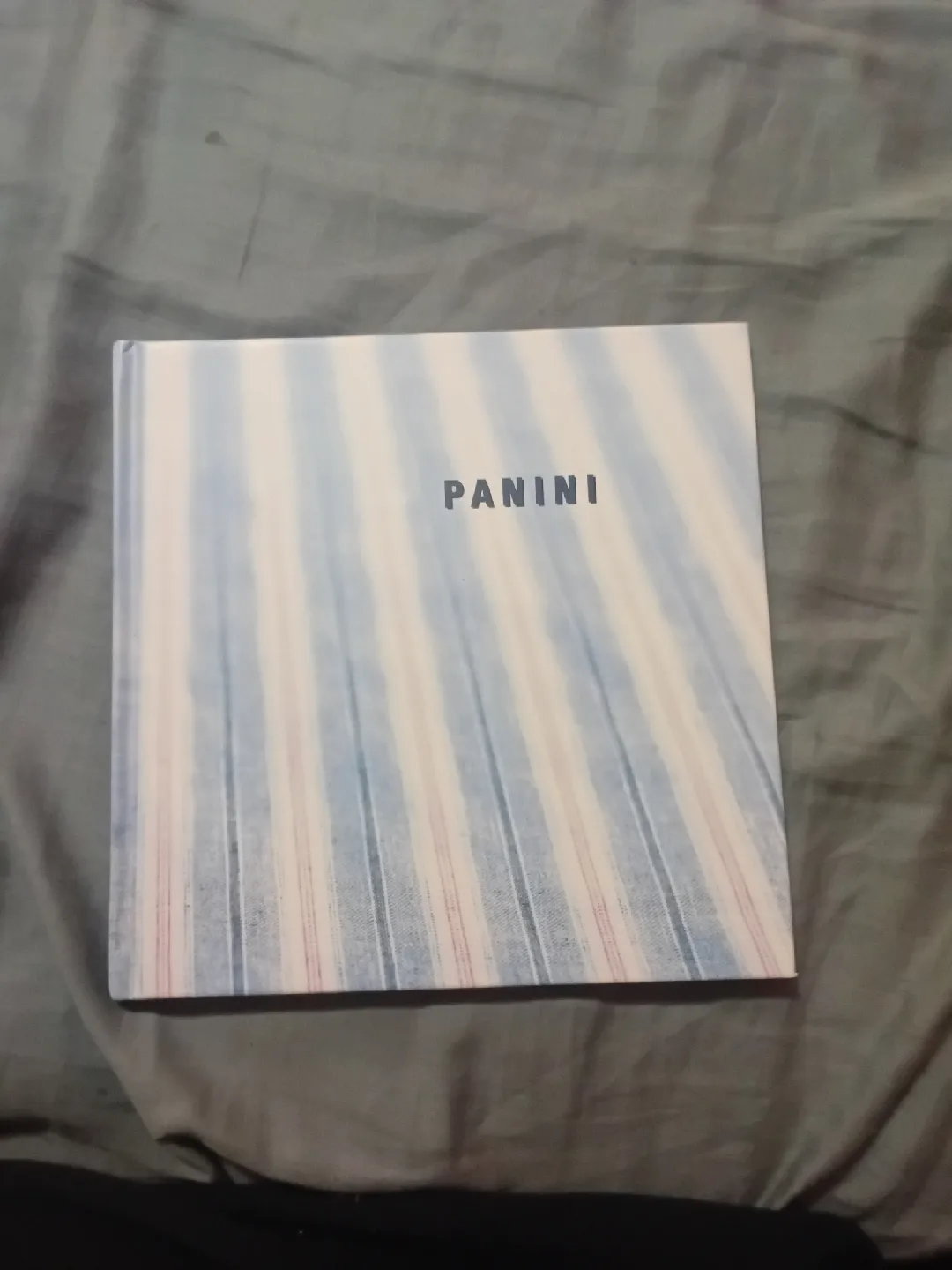 Panini cookbook thumbnail