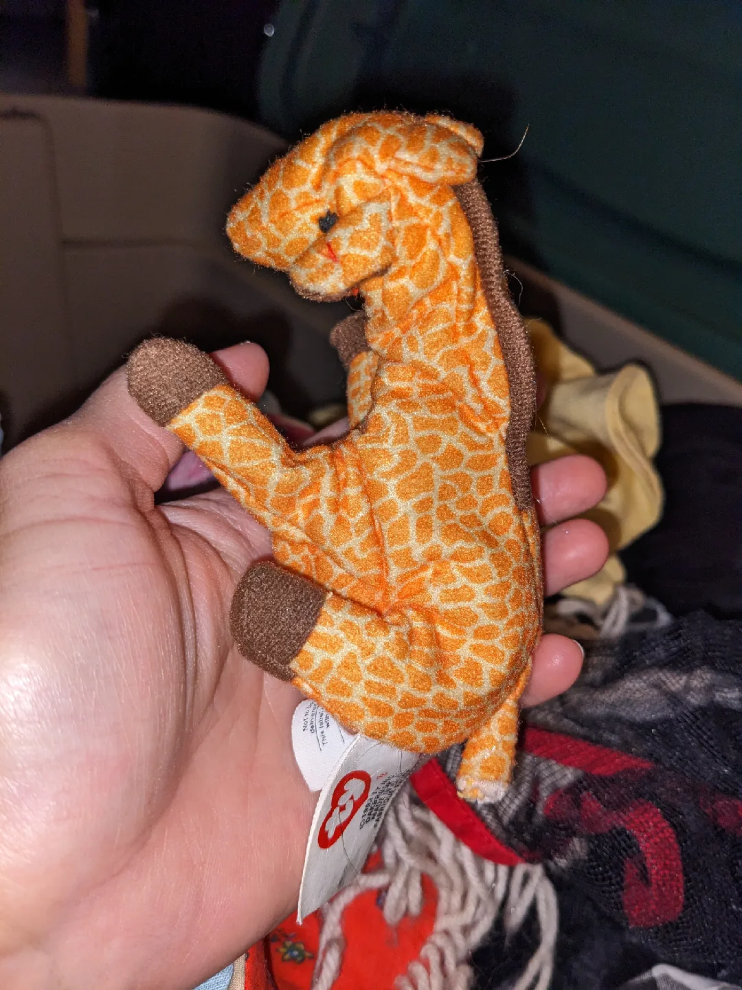 Attic time capsule image indicator(7)