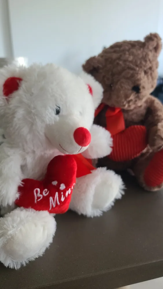 Two Valentine's Day Teddy Bears thumbnail