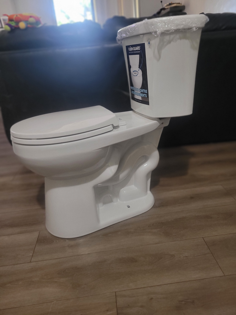 White Toilet with Flush Guard