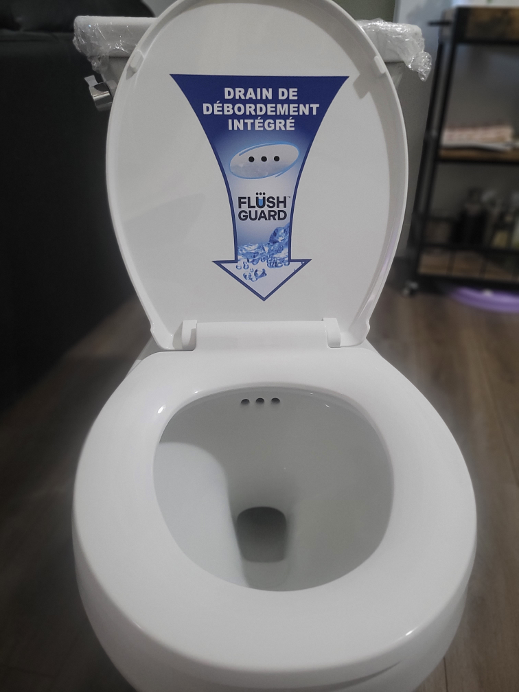 White Toilet with Flush Guard - photo 3