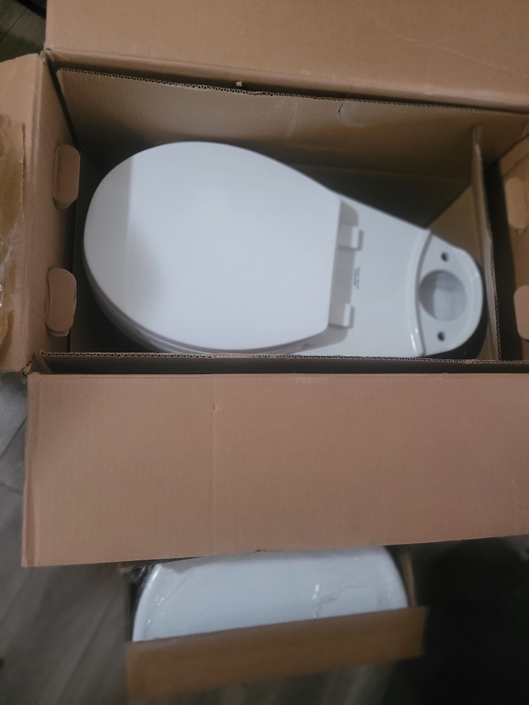 White Toilet with Flush Guard - photo 4