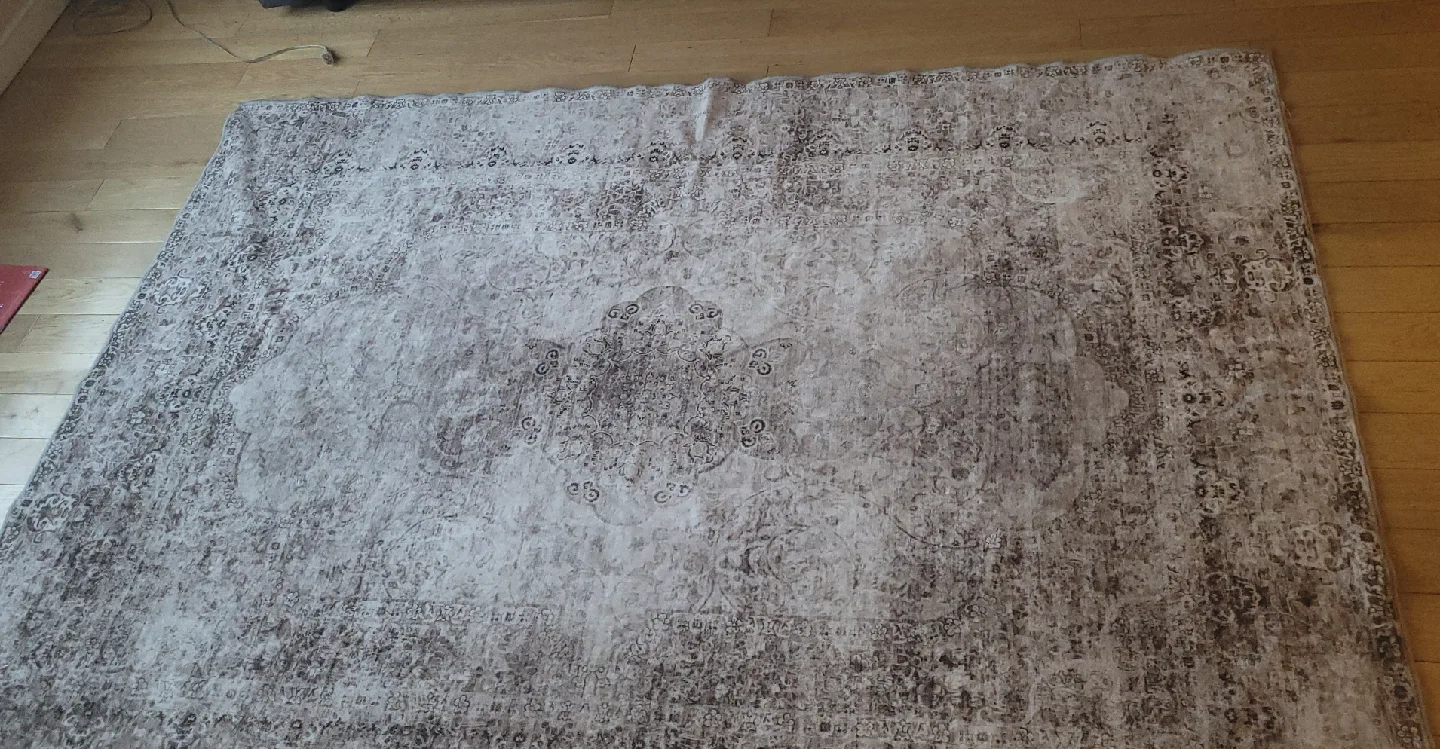 Area Rug - Beige/Brown Patterned image indicator(3)
