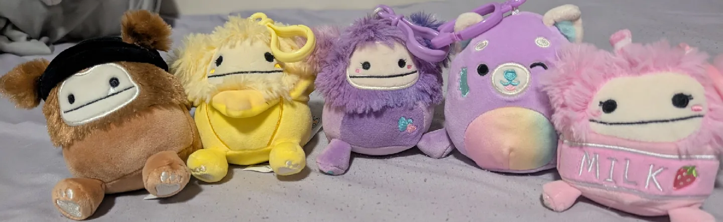 squishmallow lot image indicator(2)