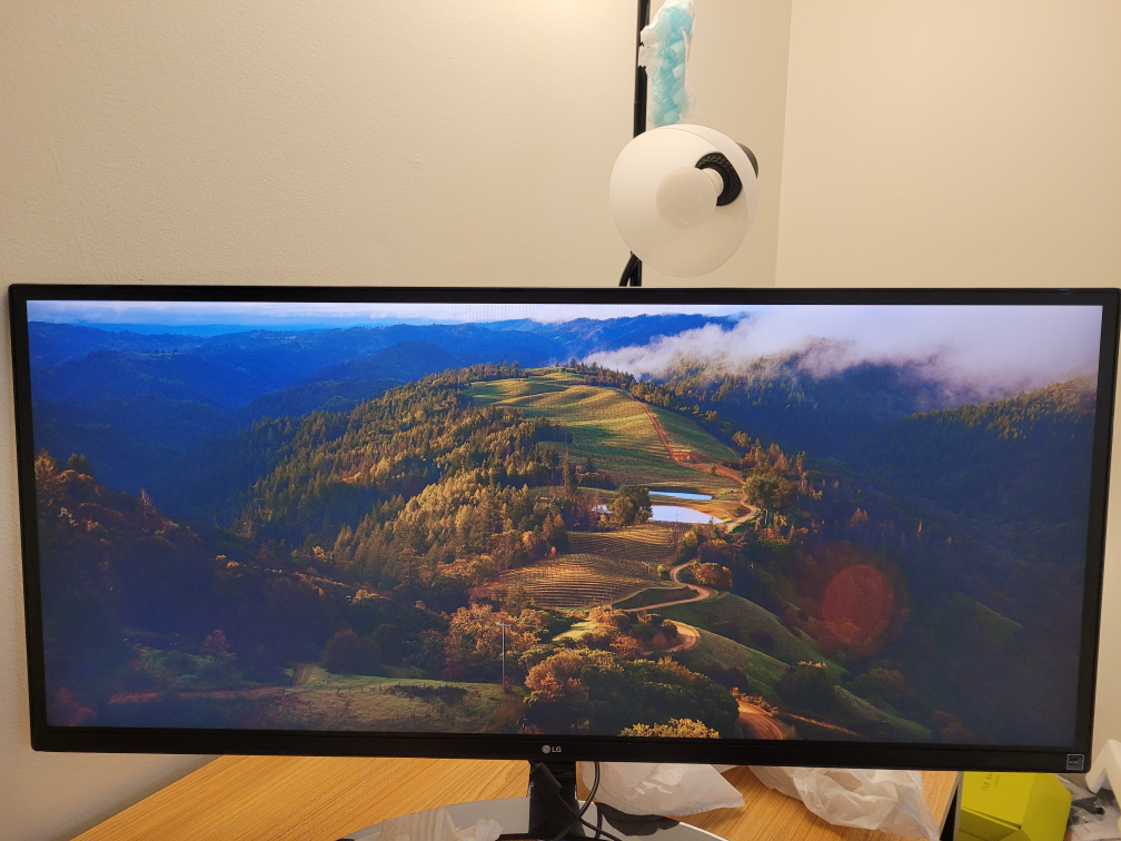 LG 34" Class 21:9 UltraWide® Full HD IPS LED Monitor