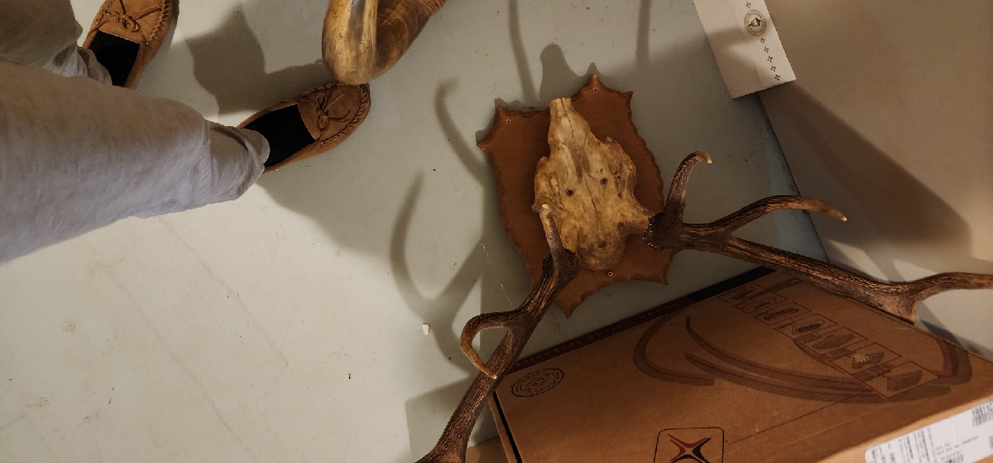 Antler Mount