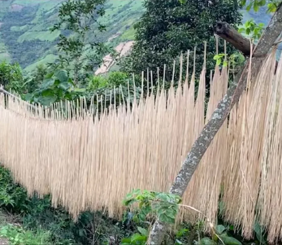 Handmade Panama Hats ,original image indicator(10)