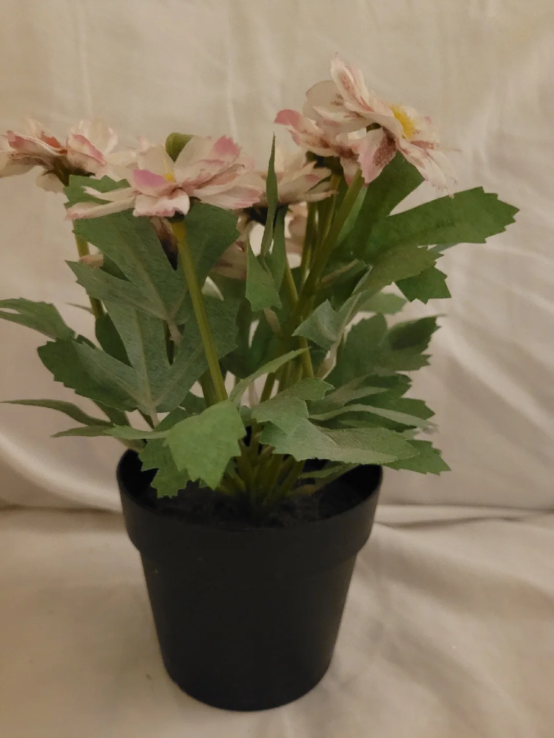 Artificial Flowers in Black Pots image indicator(4)