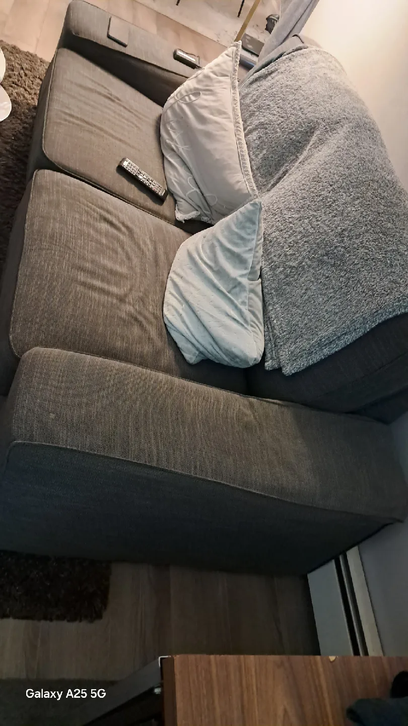 Grey 2-Seat Sofa image indicator(2)