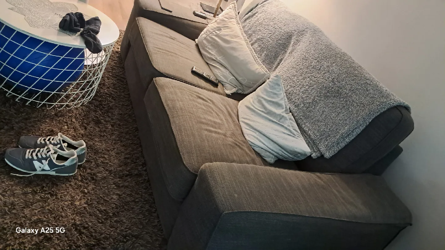 Grey 2-Seat Sofa image indicator(3)