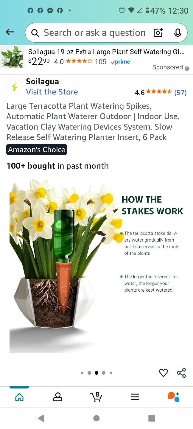 12" Black Planter with 12" Plant Caddy and Terracotta Spikes 🥕 image indicator(8)