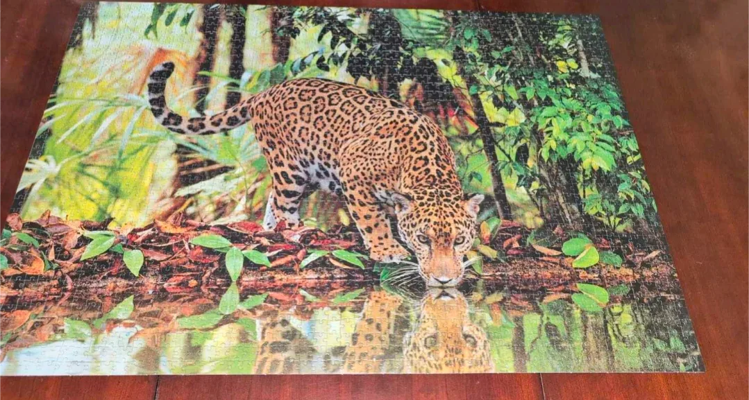 Clementoni High Quality Collection 2000 pc Puzzle image indicator(3)