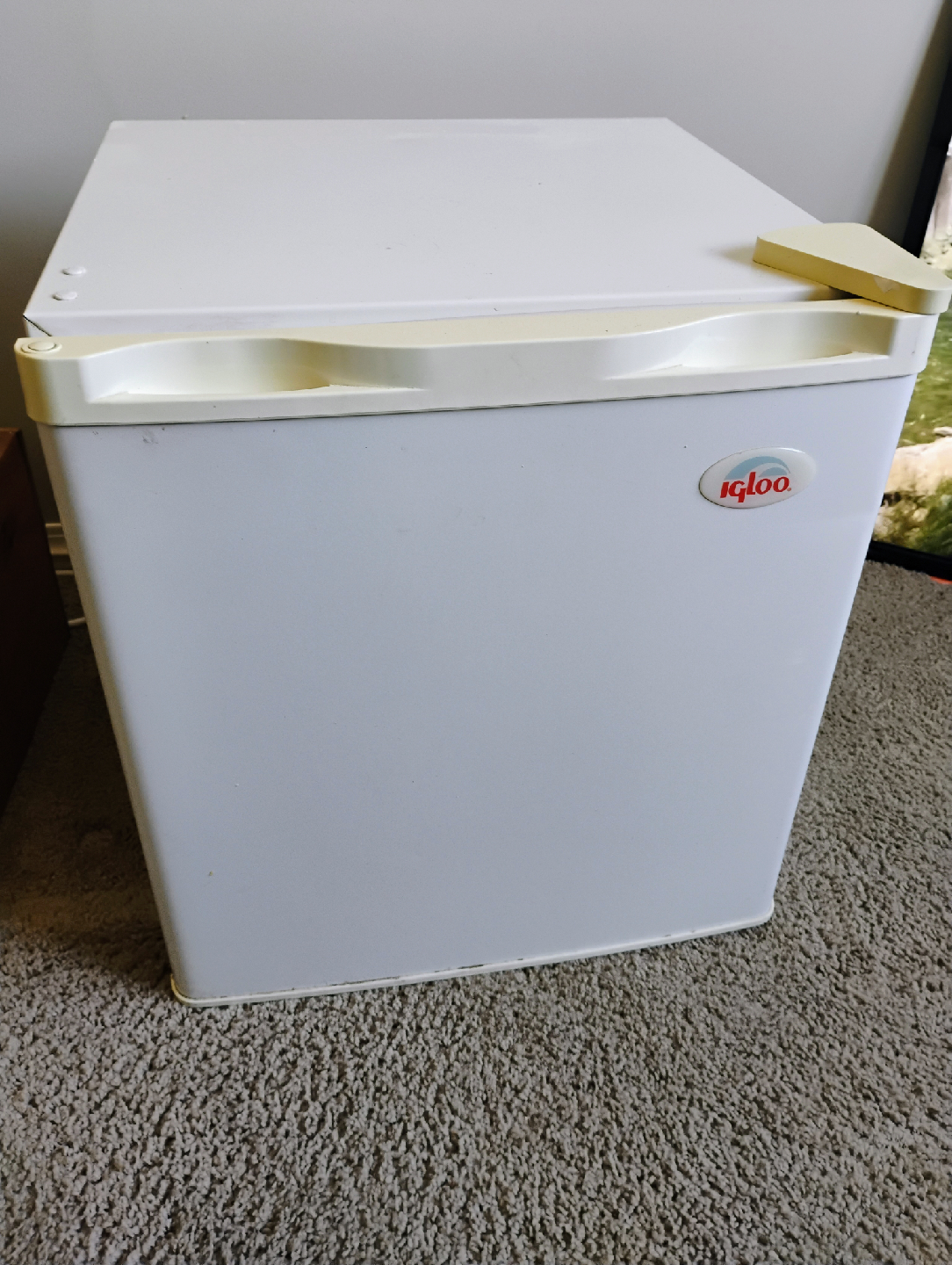 Igloo Mini Fridge - White