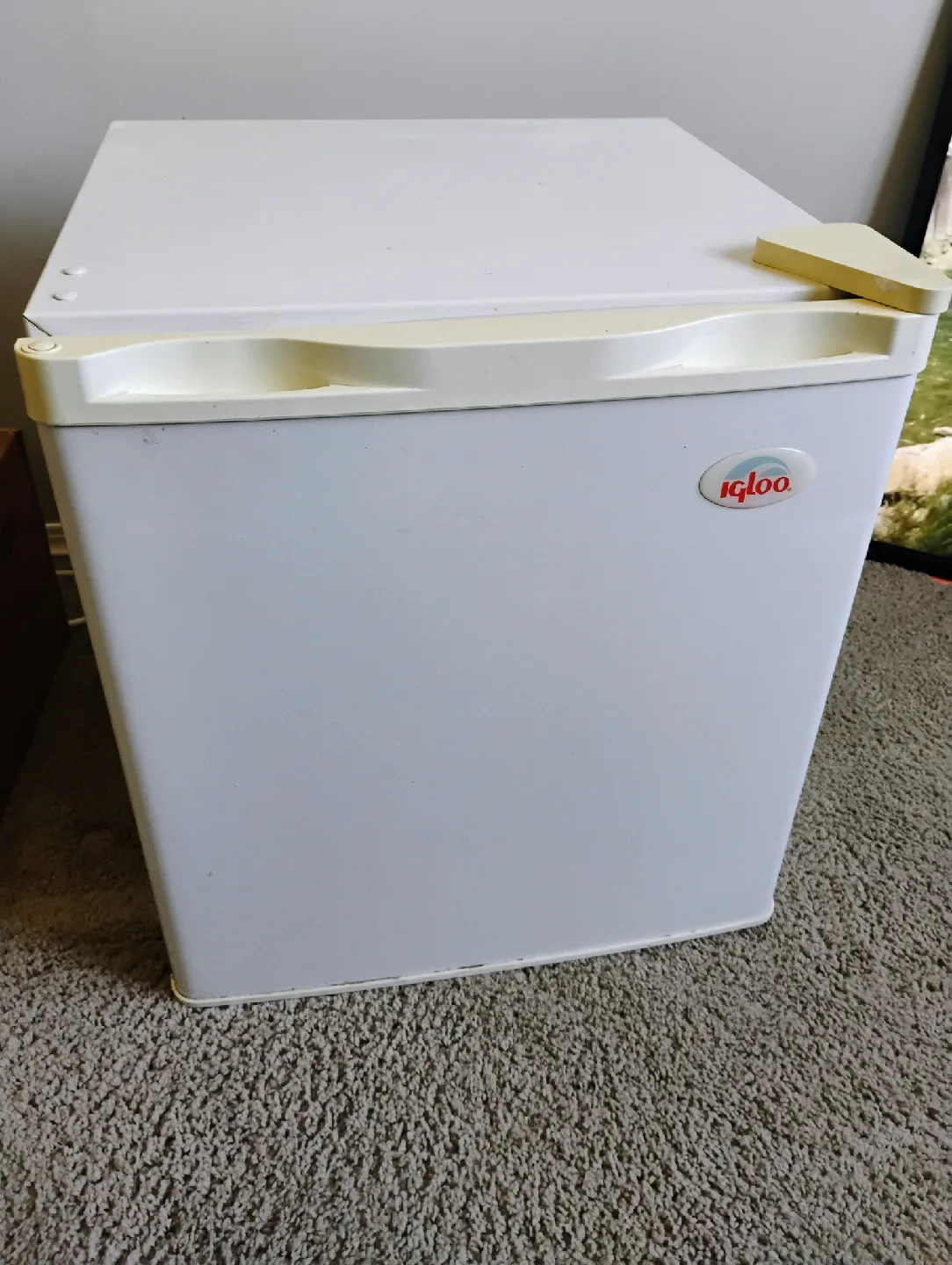 Igloo Mini Fridge - White