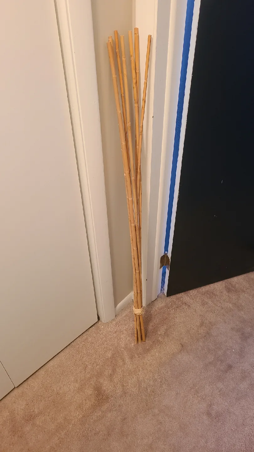Bundle of Decorative Bamboo Sticks thumbnail