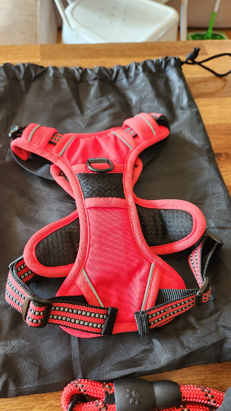 No-Pull Dog/Cat Harness with Leash S *new - photo 2