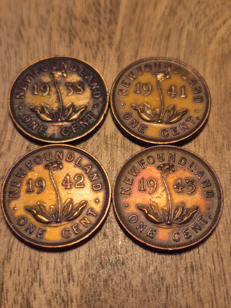 Group of four Newfoundland small cent coins thumbnail