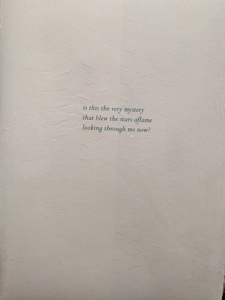 Wonderstudies by David Bailey image indicator(2)