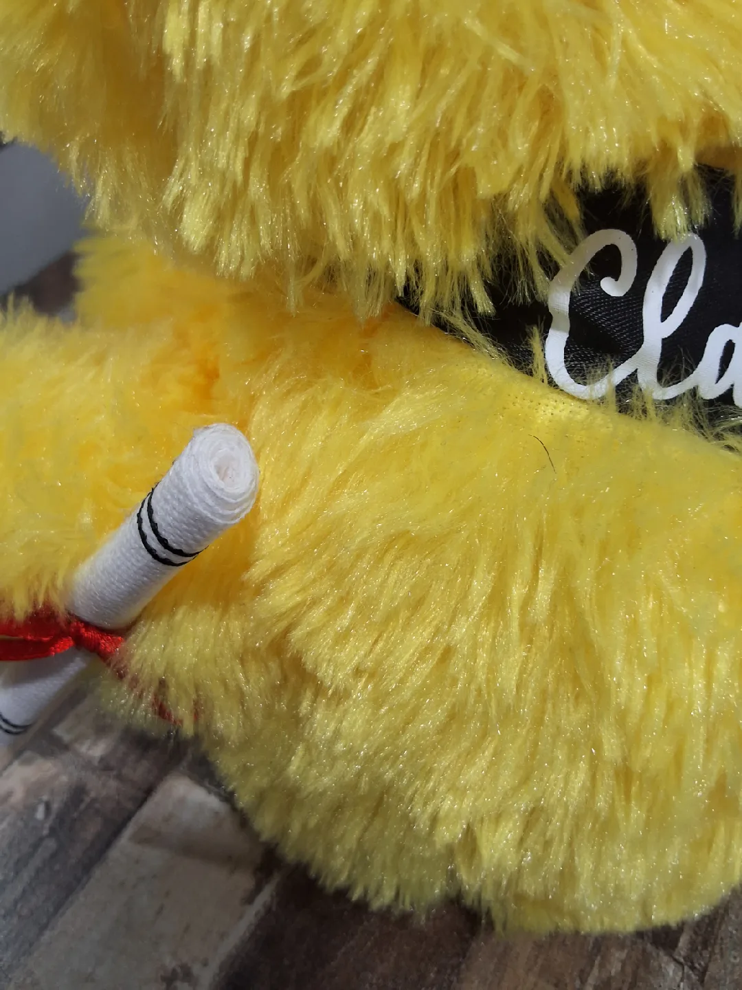 Graduation Duck Plush with Box image indicator(3)