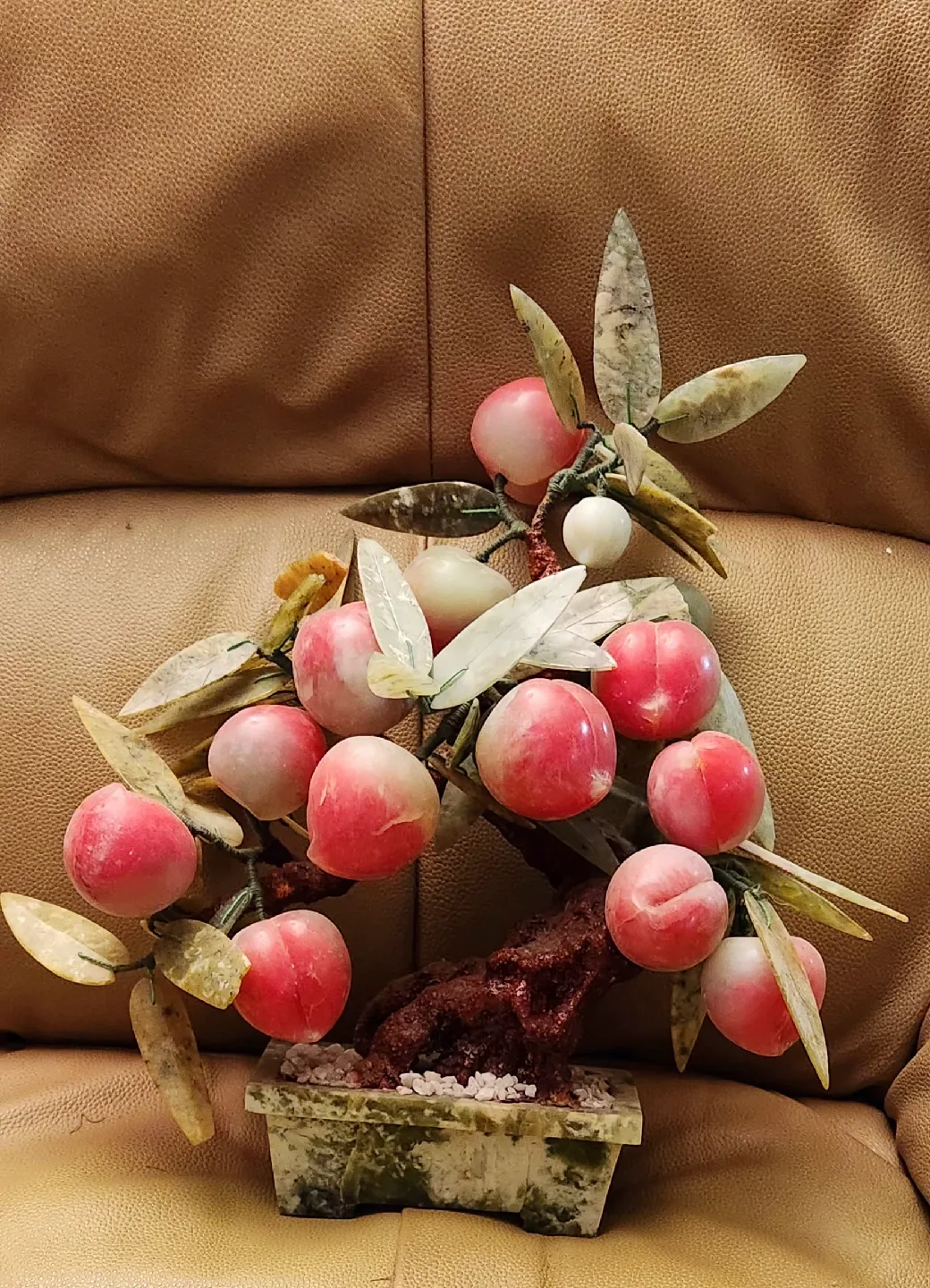 Jade Peach bonsai Tree thumbnail
