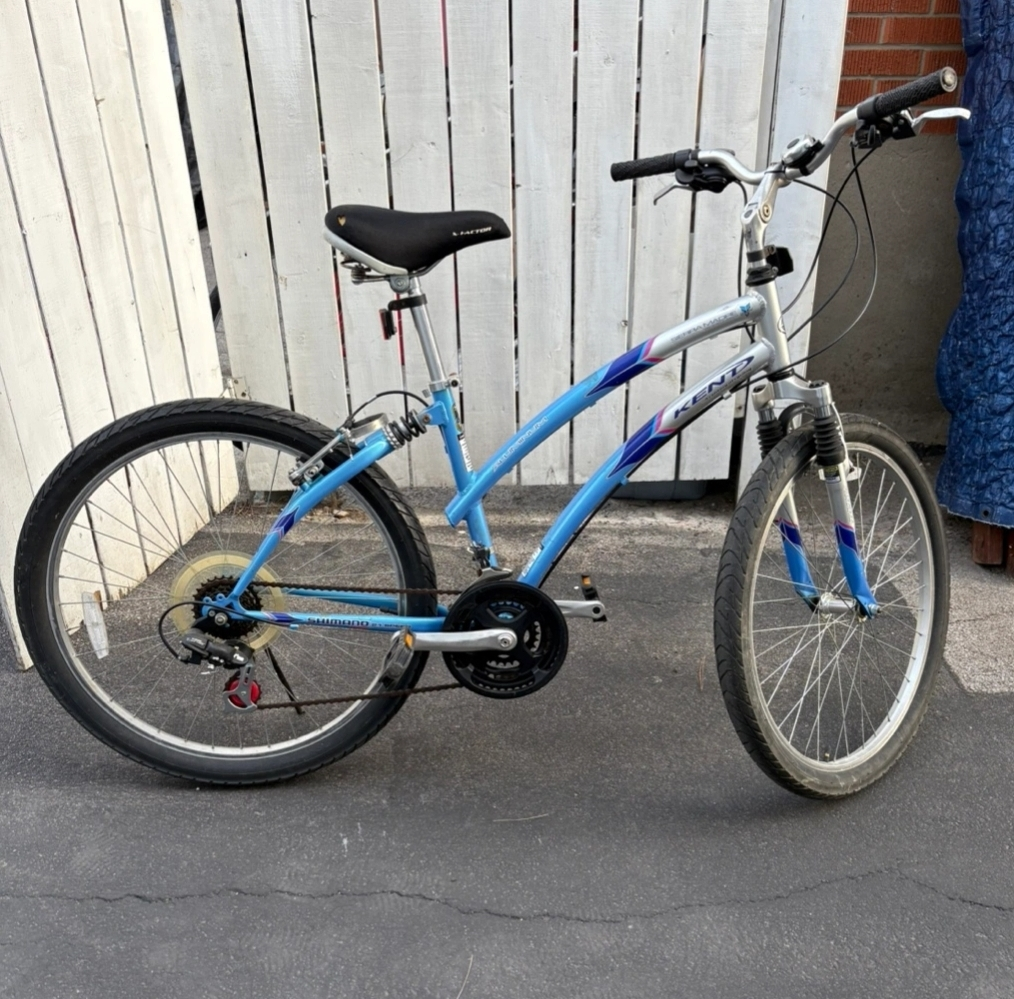 Mountain Bike - Blue